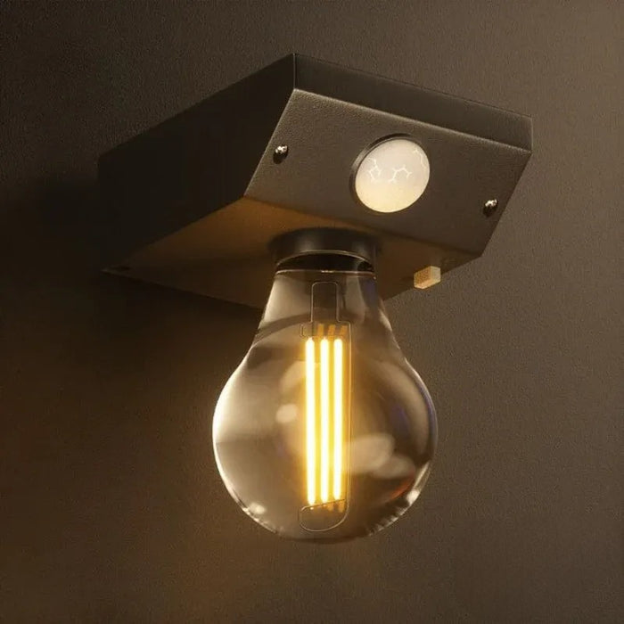 Bulb Solar Lights