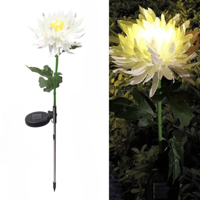 Solar Chrysanthemum Outdoor Lights